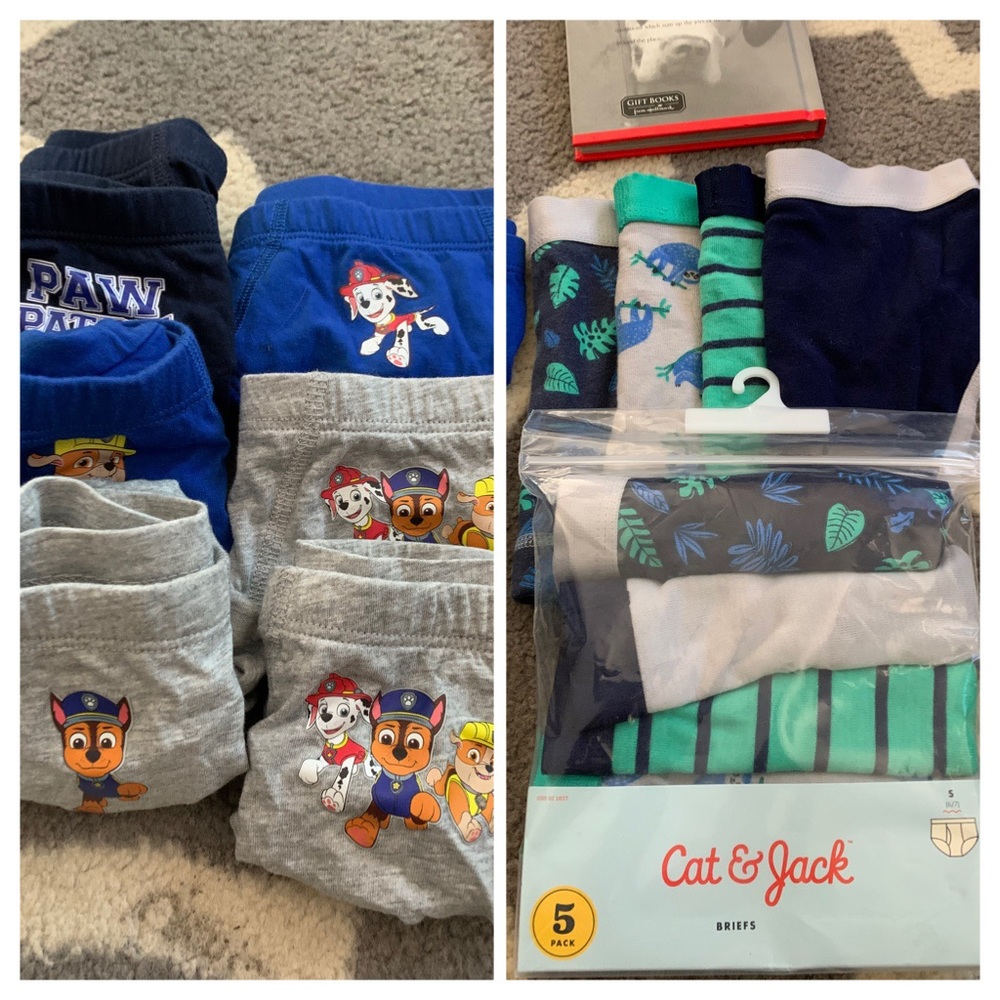 18 piece Boys 4-6 paw patrol brief underwear
